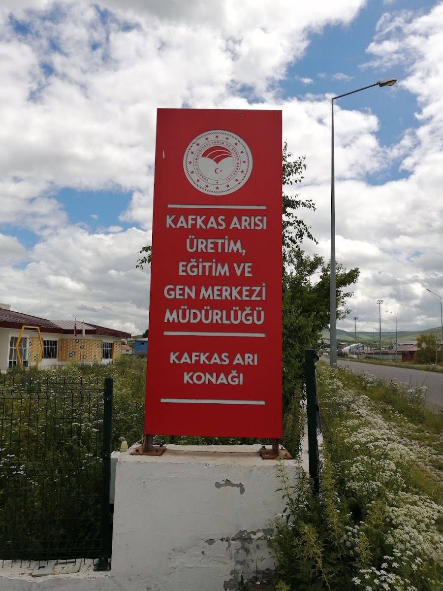 Kafkas Arısı Üretim Eğitim ve Gen Merkezi Müdürlüğü