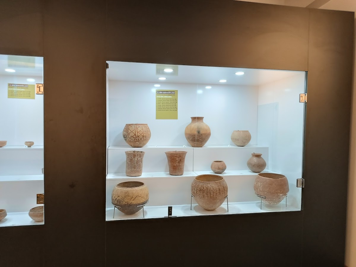 Muş Müzesi