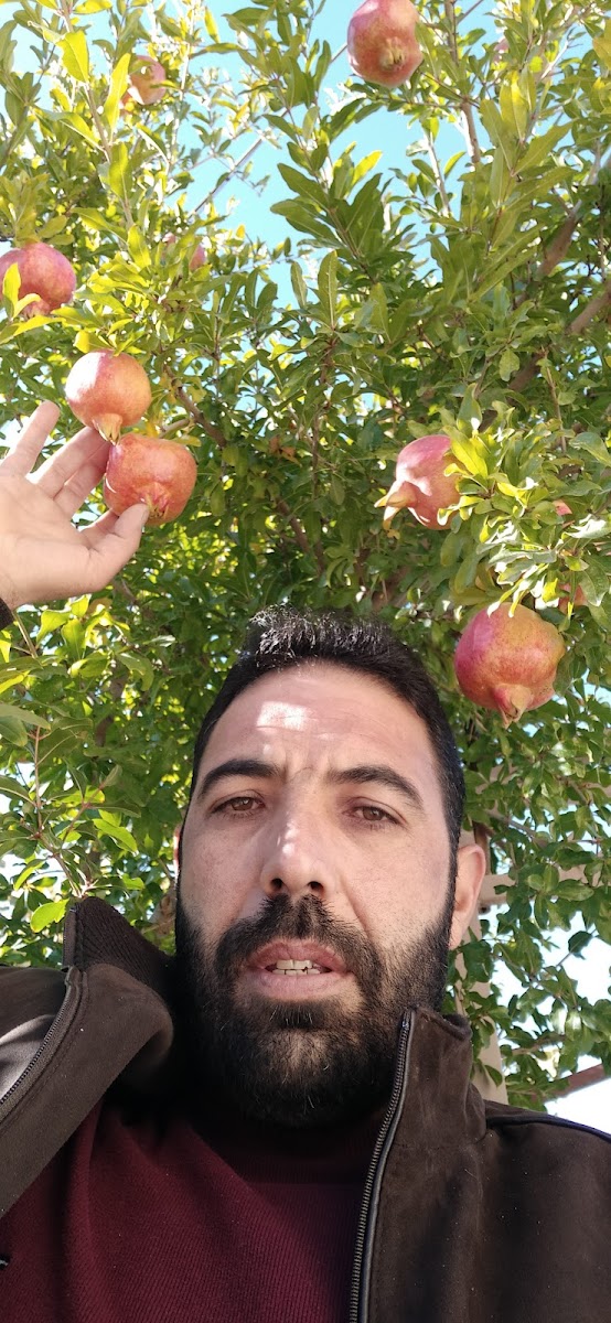 Konyalı Yavuz — Konya