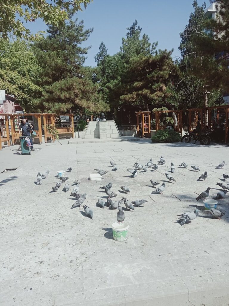 Müzeler 22 ChIJWeavegvfgUARxwPI qHRRaE