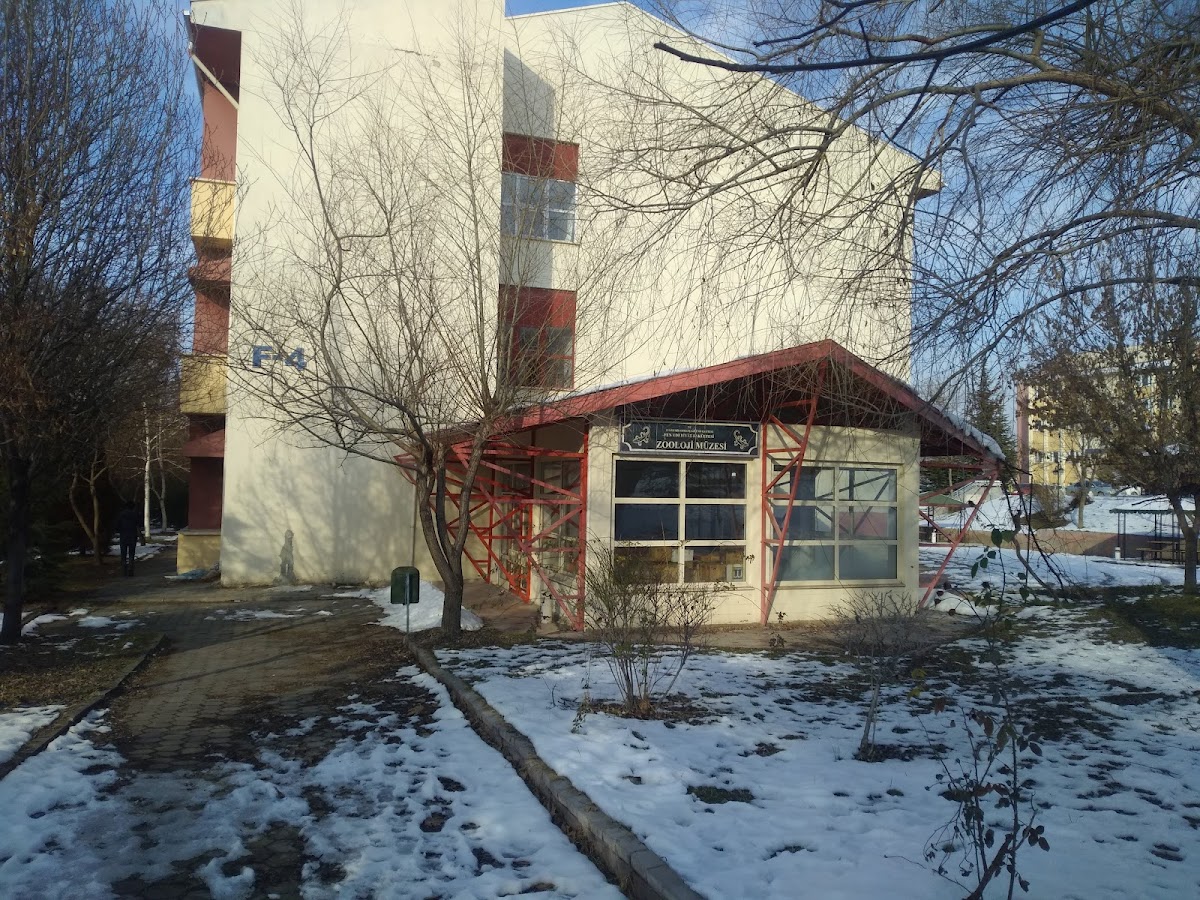 Zooloji Müzesi — Eskişehir