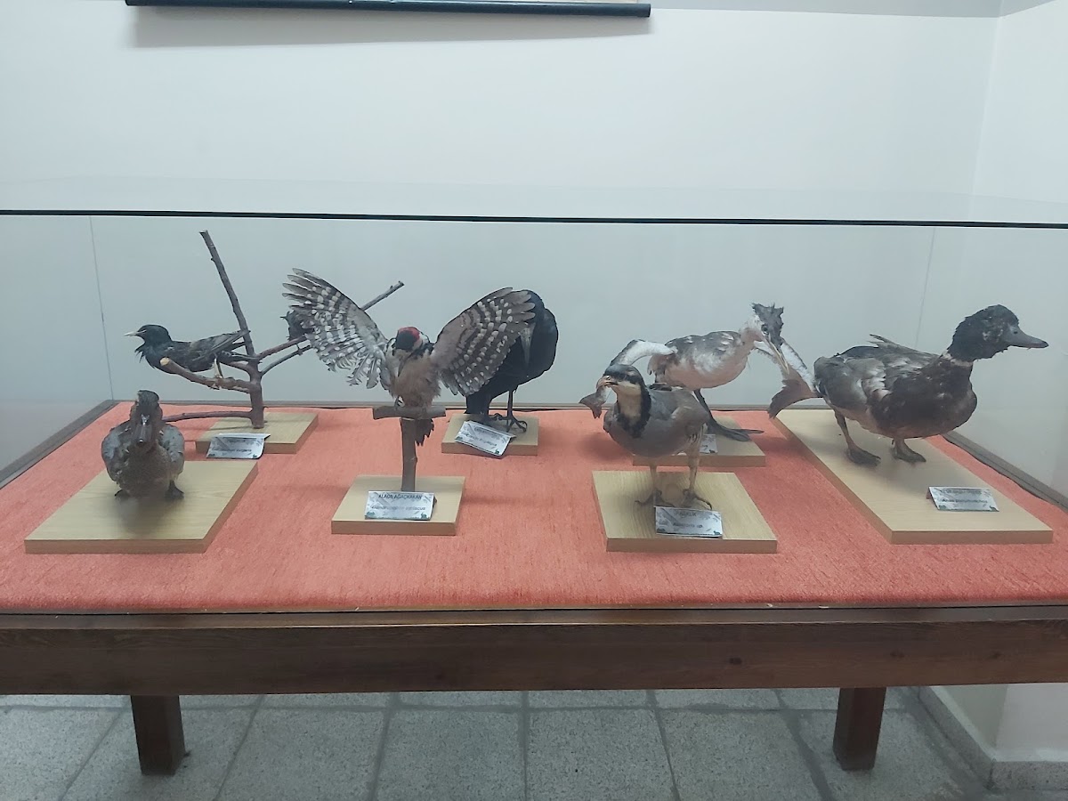 ESTÜ Biyoloji Müzesi — Eskişehir