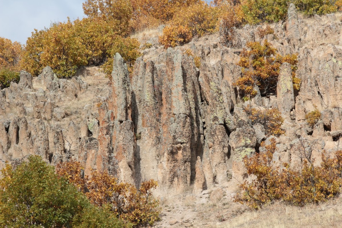 Buban Peri Bacaları — Bingöl