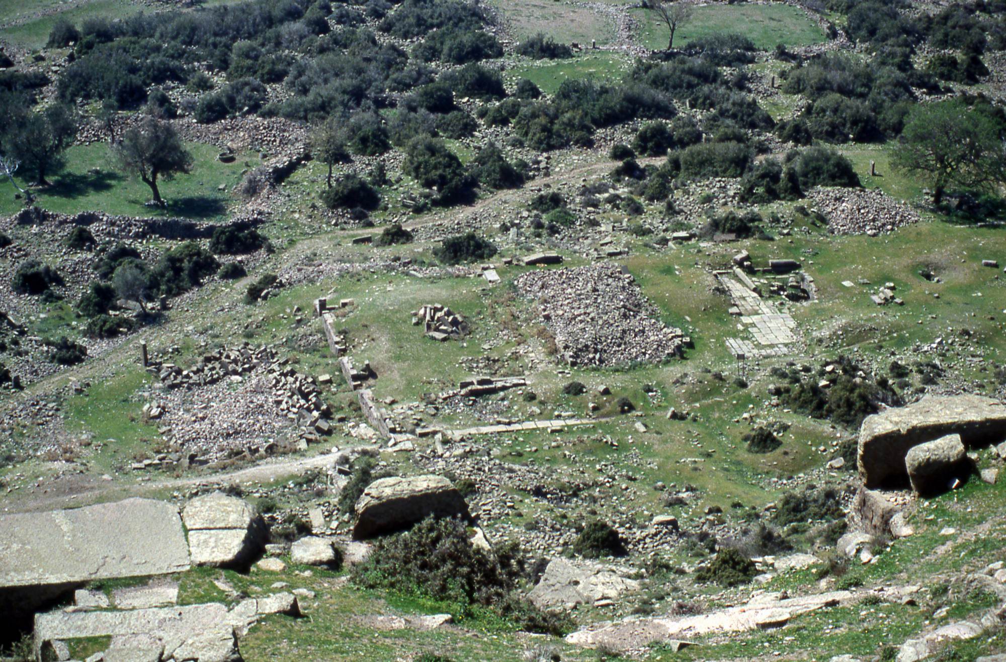 Assos Gymnasium
