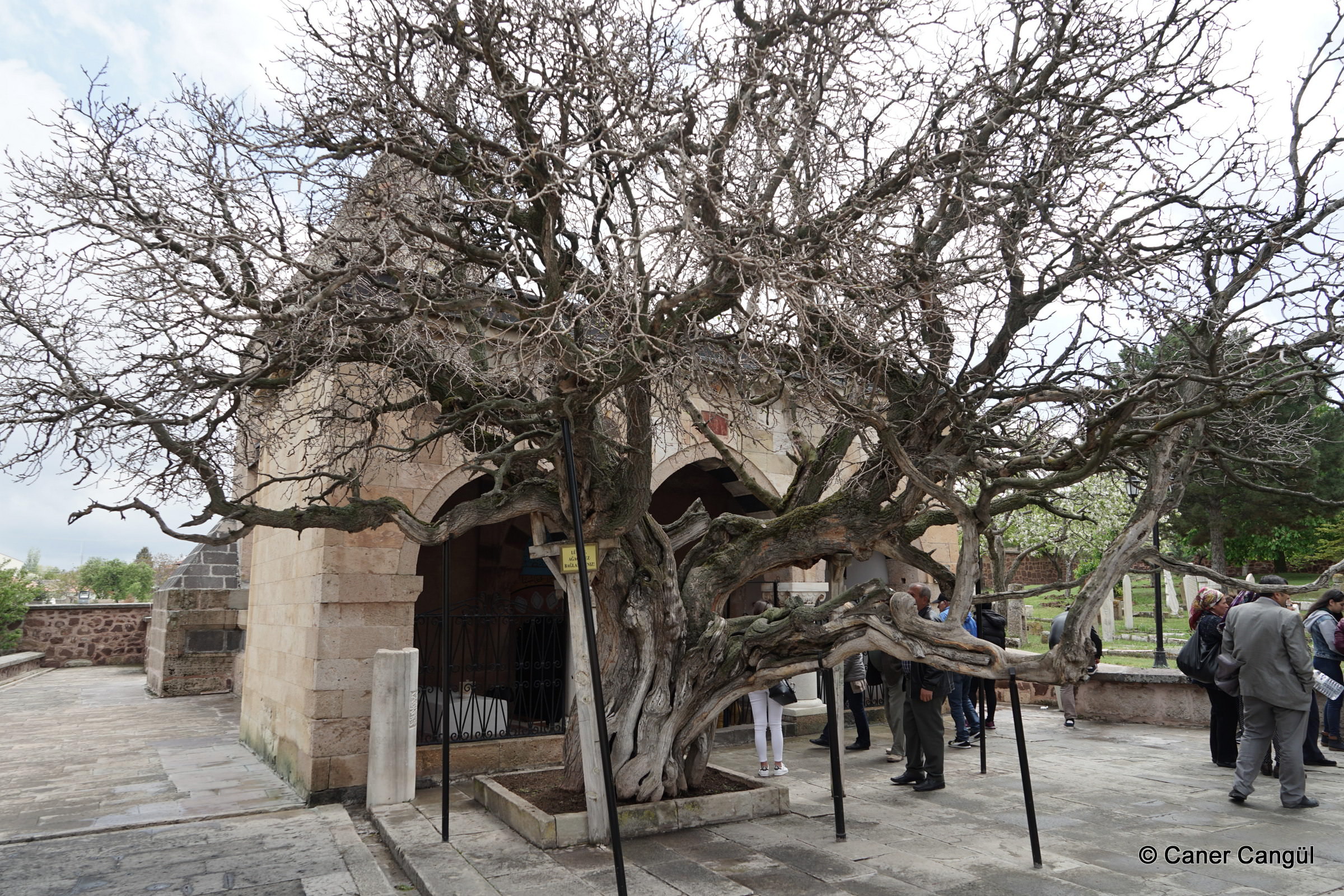 Balım Sultan Türbesi
