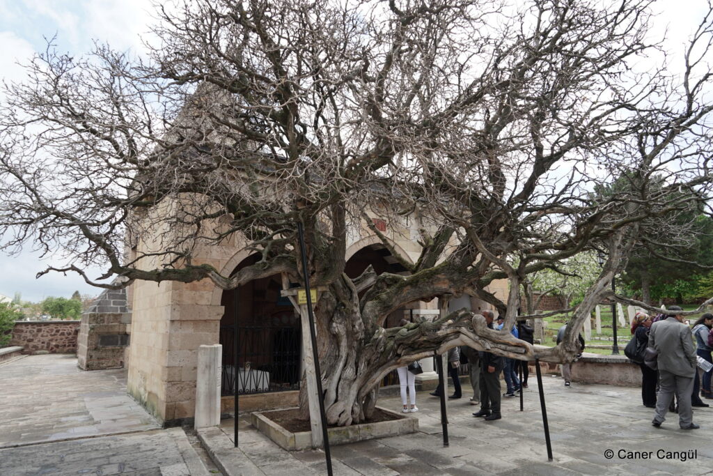 Balım Sultan Türbesi