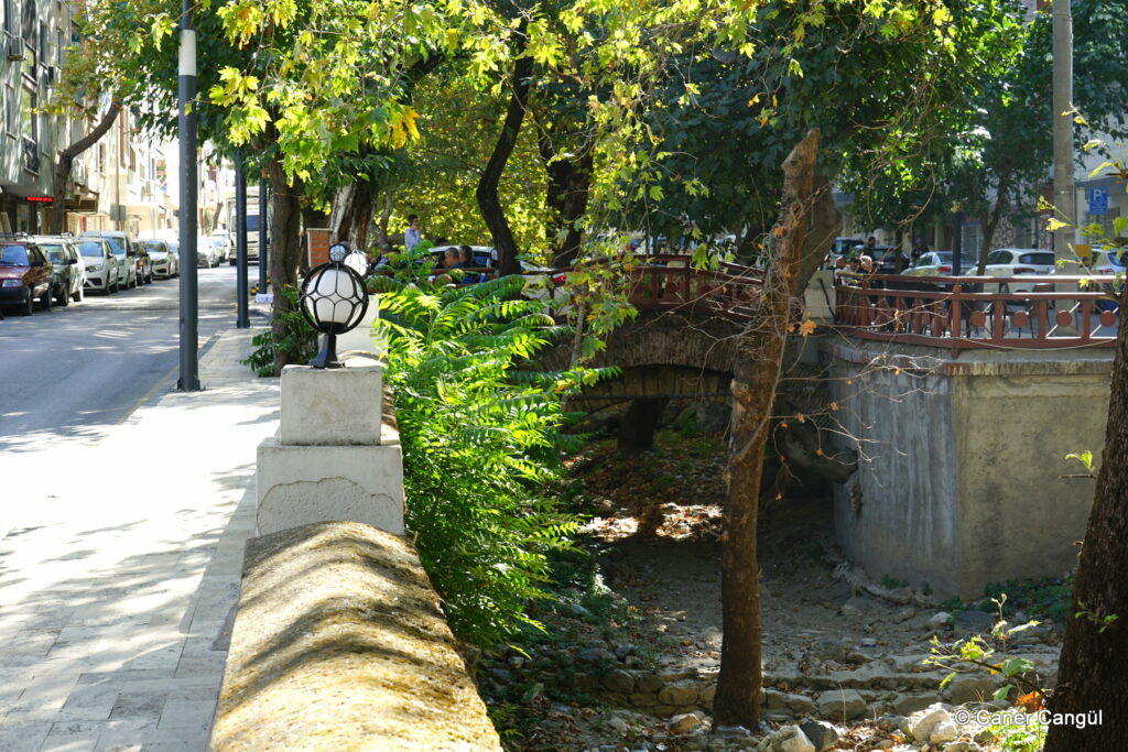 Çaybaşı Köprüsü-5