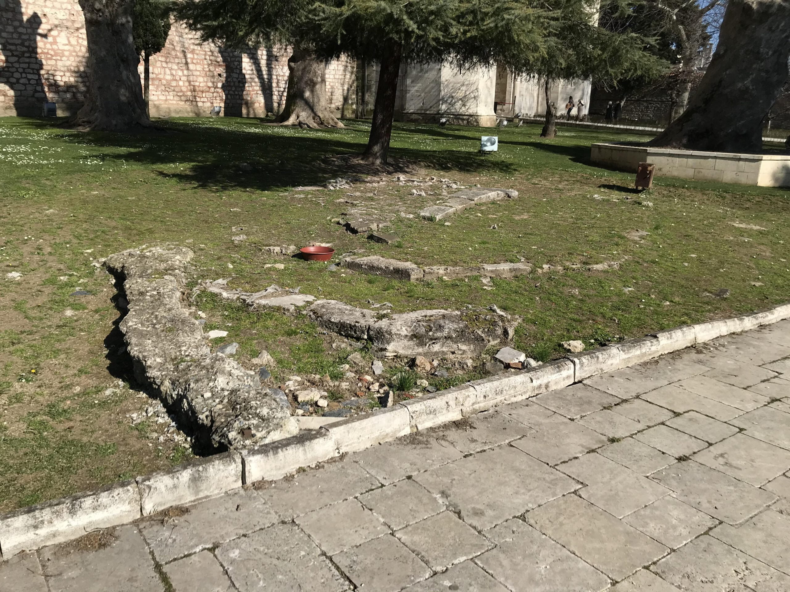 Deavi Kasrı Kalıntısı