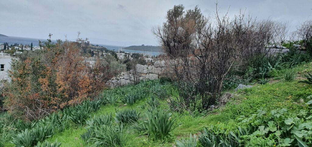 Halikarnassos Sur Duvarları