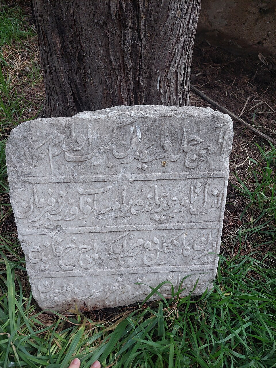 T01 – Yazıtlı kırık taş, Abdullah Bey mezarı yanında ağaca dayalıdır.