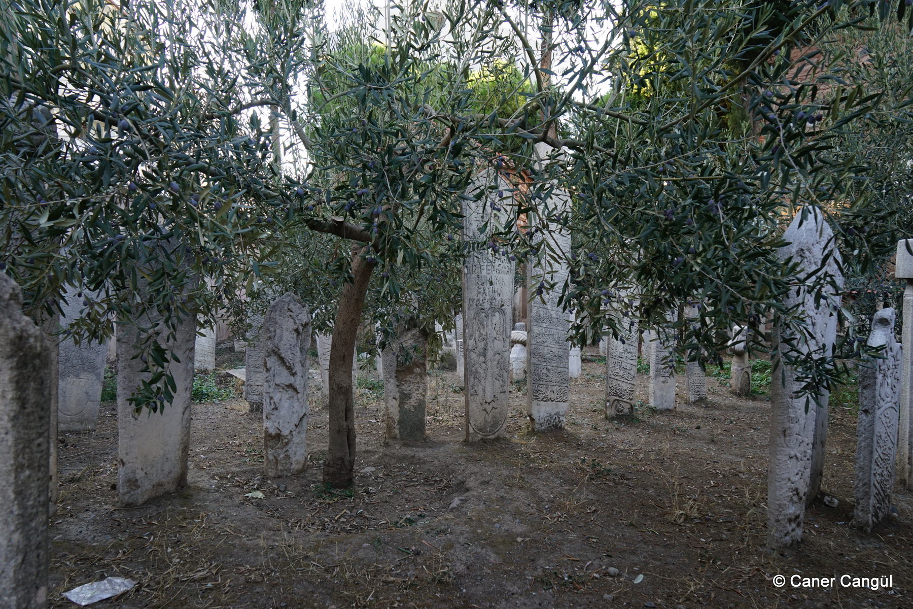 Hüsrev Ağa Camii Haziresi