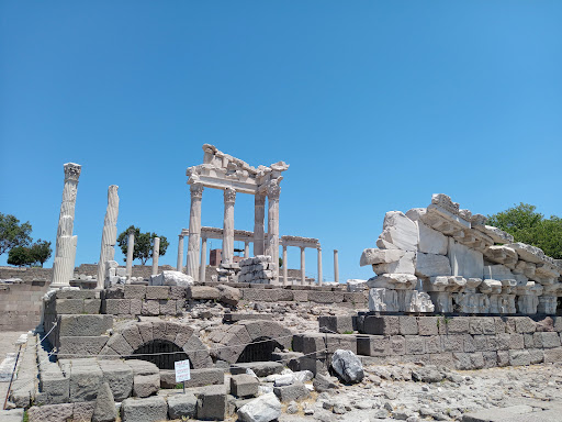 museconnect ad9d8659f902