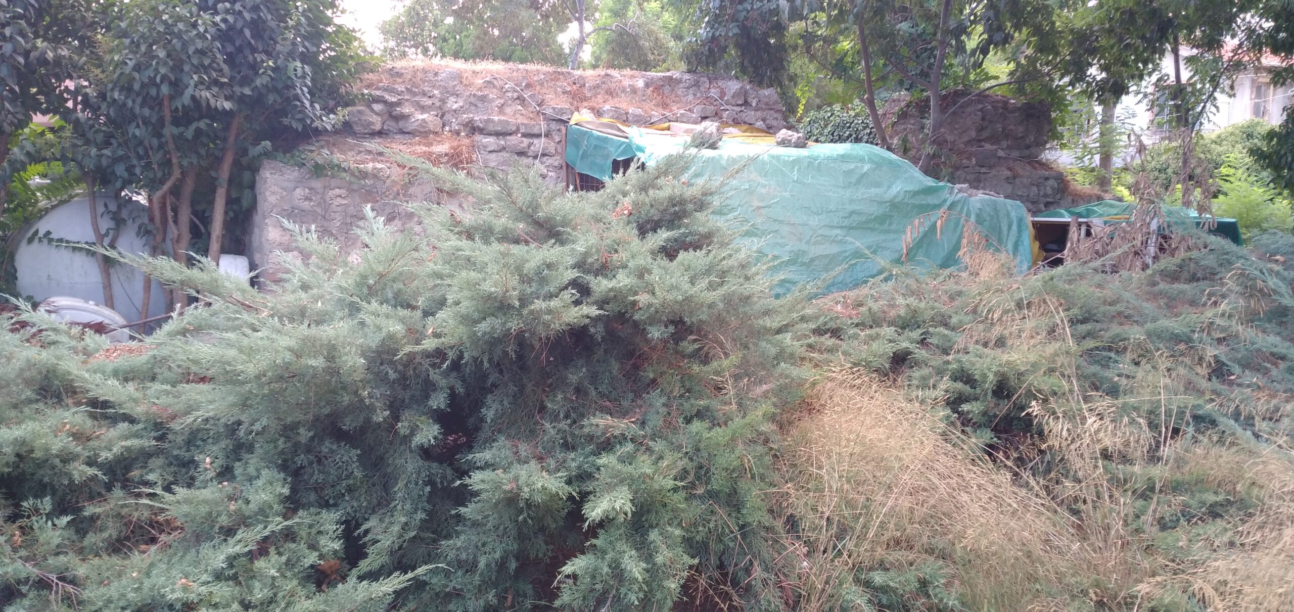 Röne Park Sarnıcı