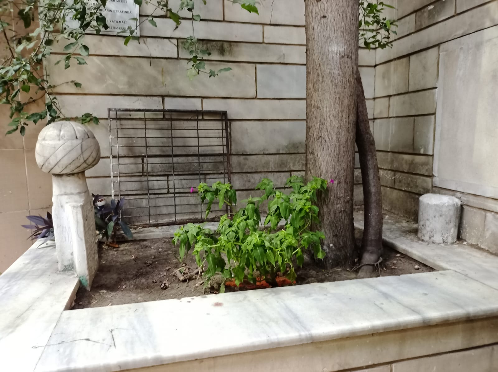 Şahkulu Mehmet Efendi Kabri