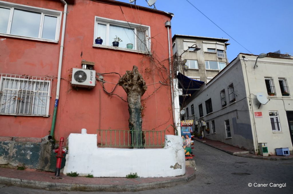 Sakabaşı Kabri