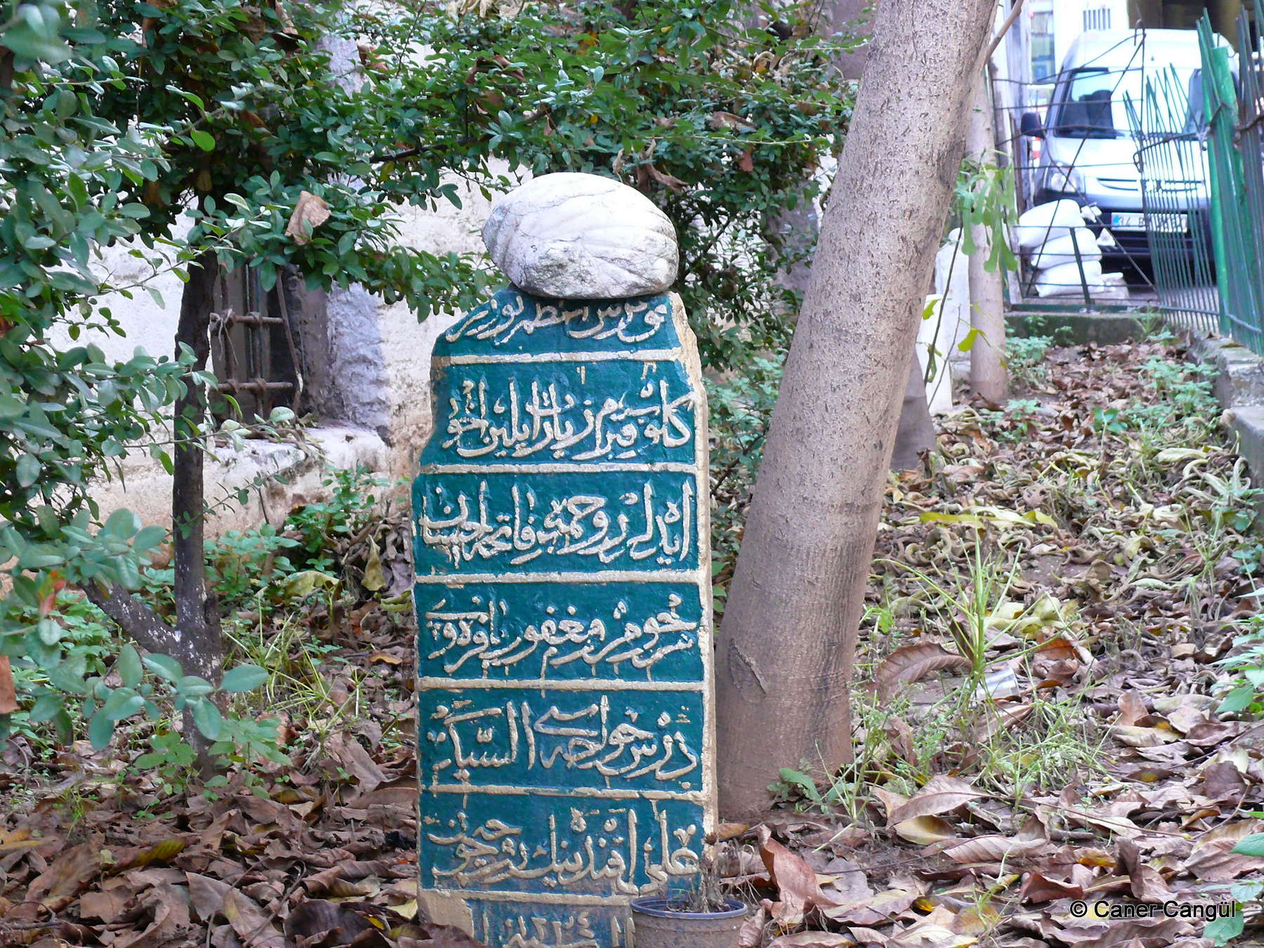Seyyit Ali Efendi’nin Şahidesi