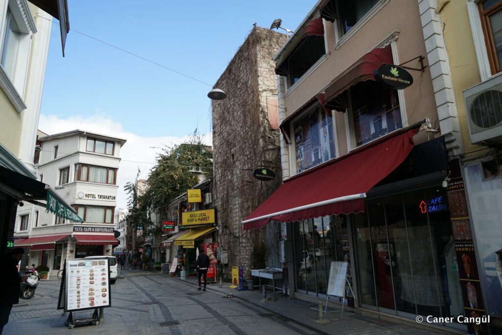 Sur-i Sultani 24. Burç