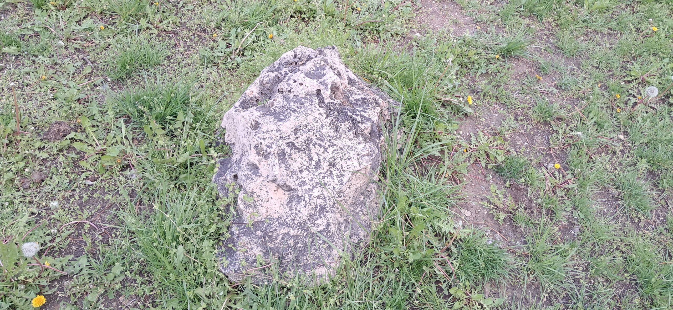 Surp Asdvadzadzin Ermeni Manastırı Mezarlığı’ndaki diğer taşlar