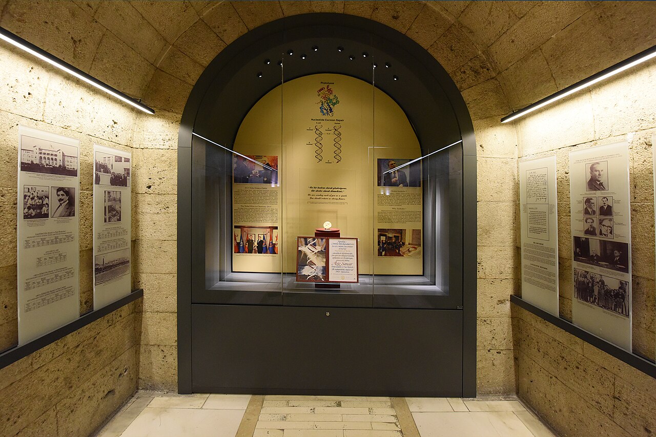 Tonozlu Galeriler