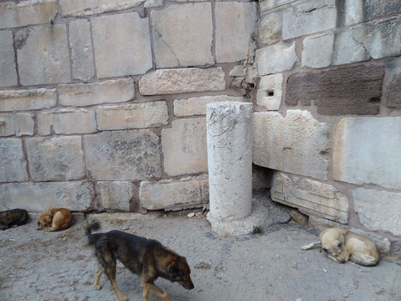 İç Kale Surları T22’nin yanındaki mermer sütun