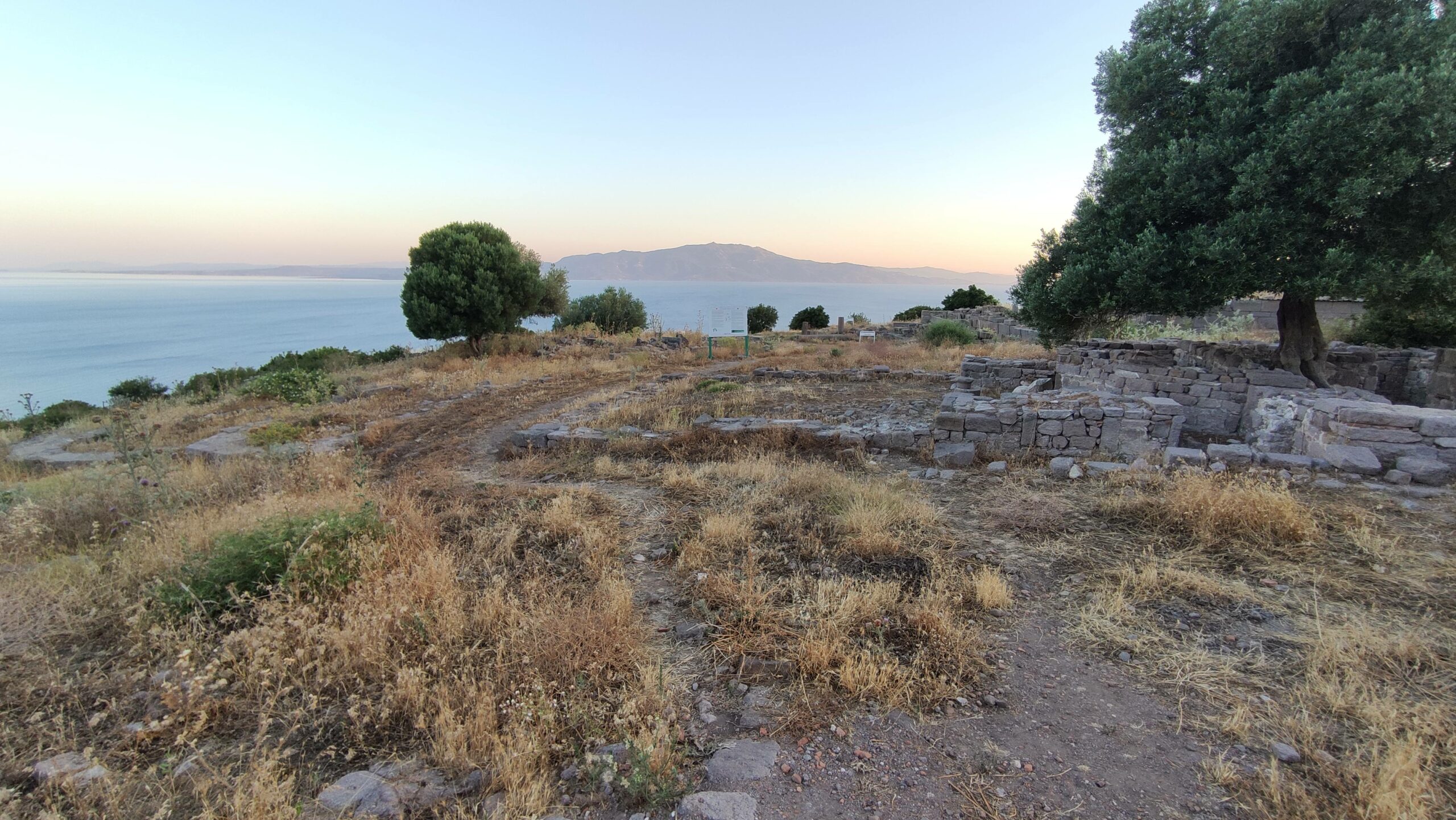 Assos Agorası