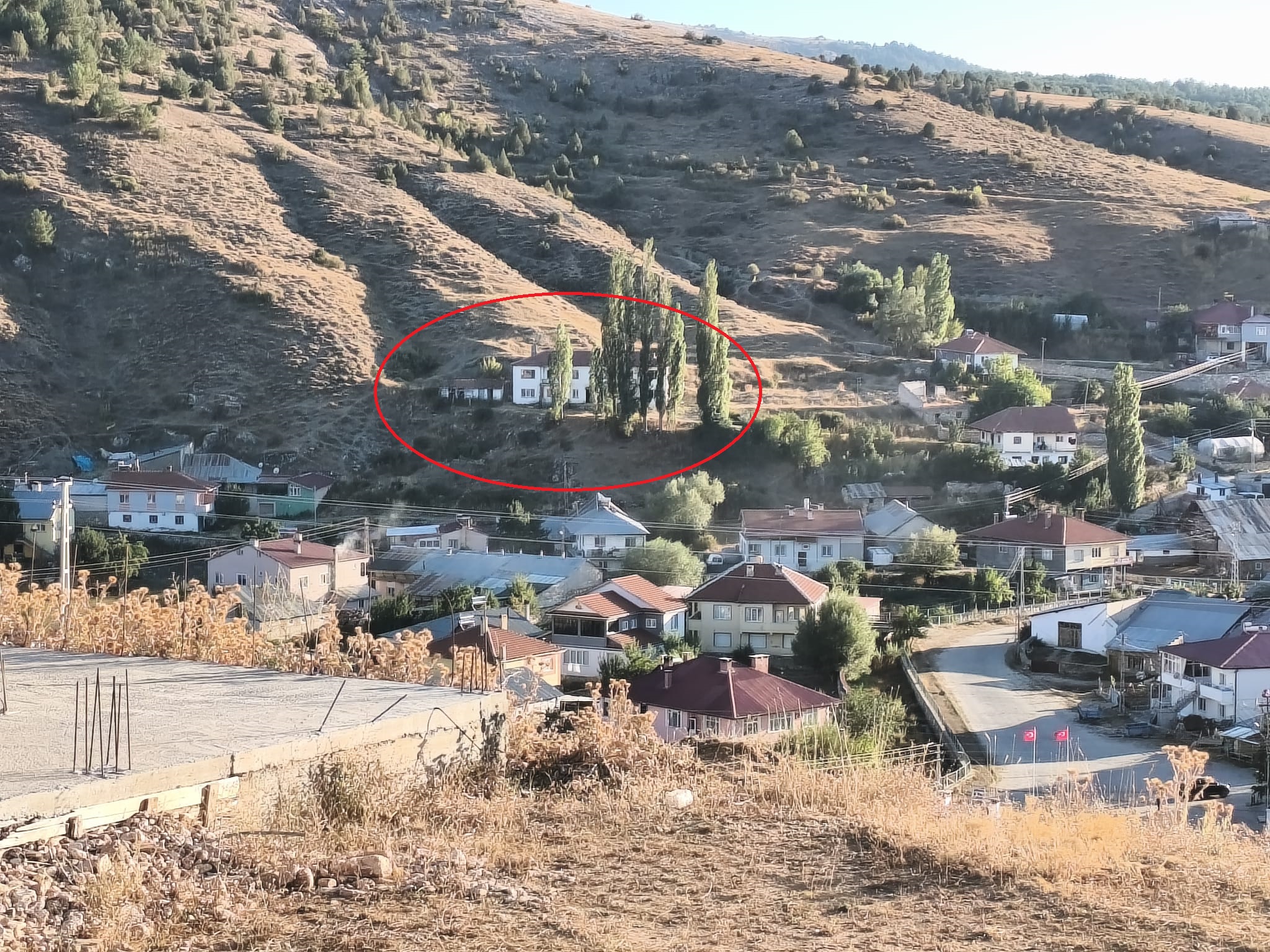 3. kullanılmayan orman dairesi