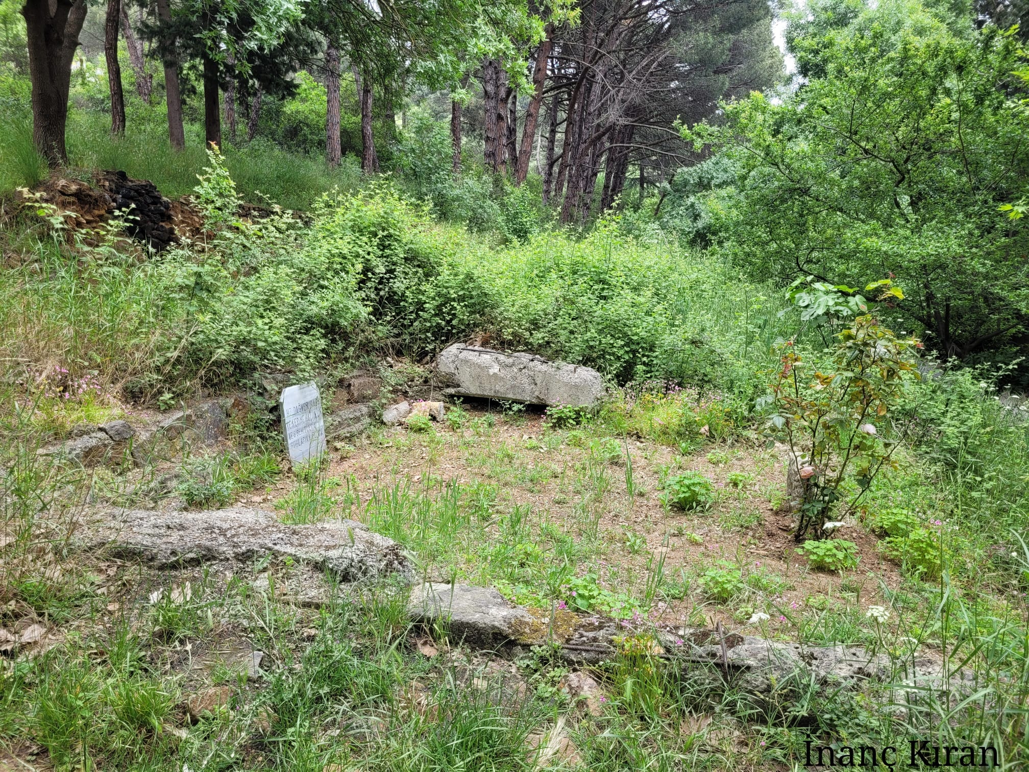 Daver Baba Kabri