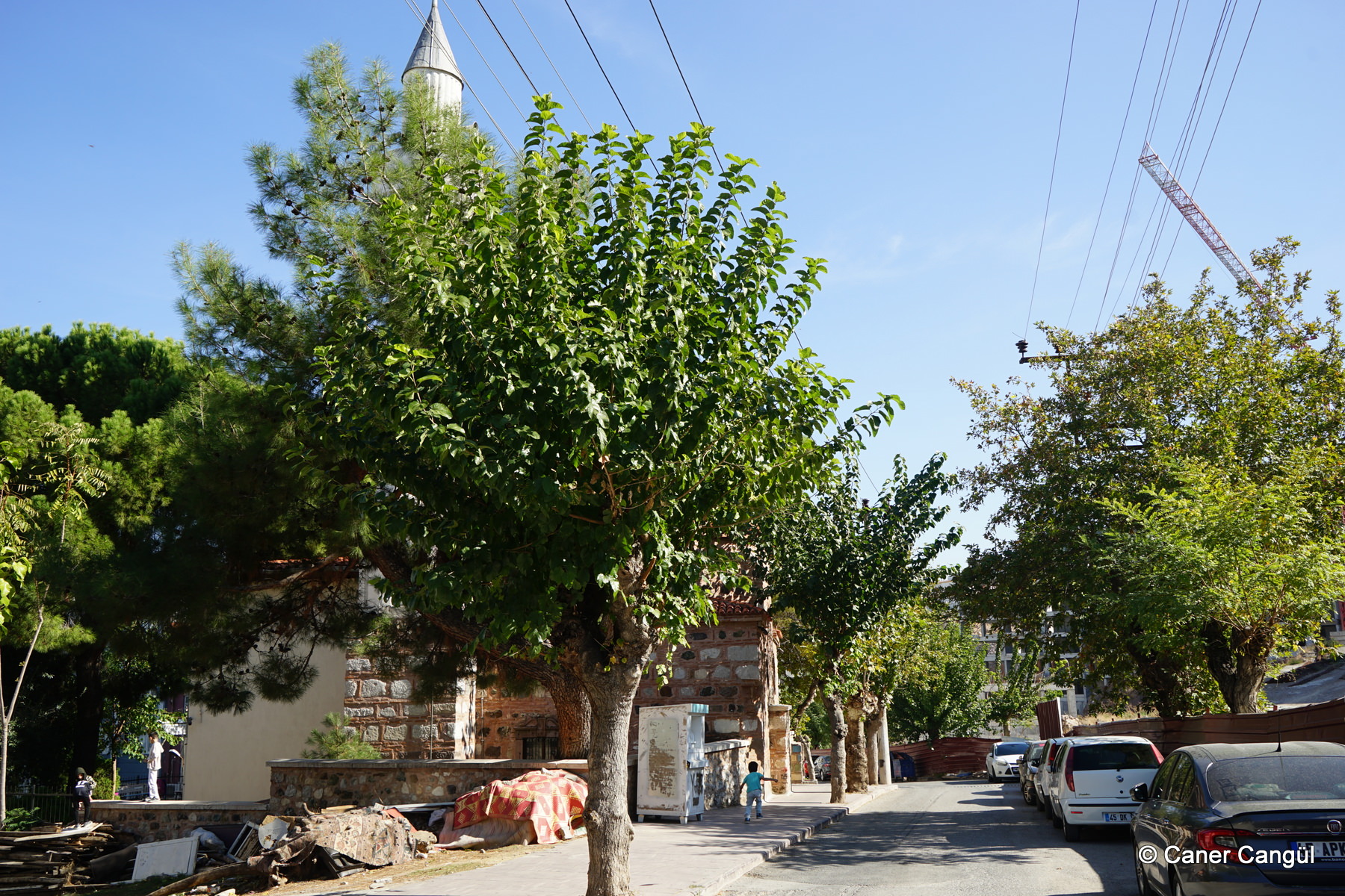 Göktaşlı Camii