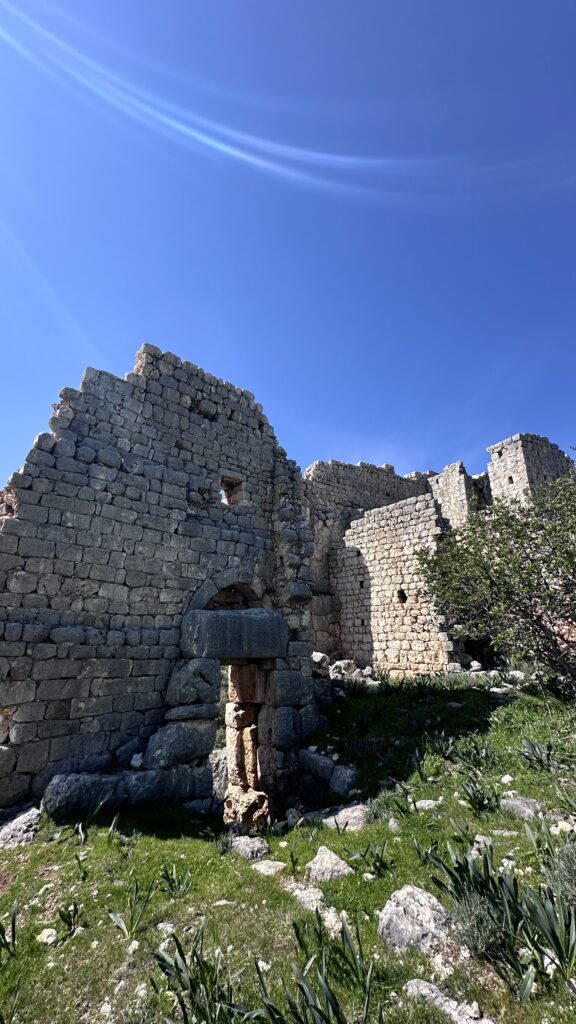 Hisar Kale