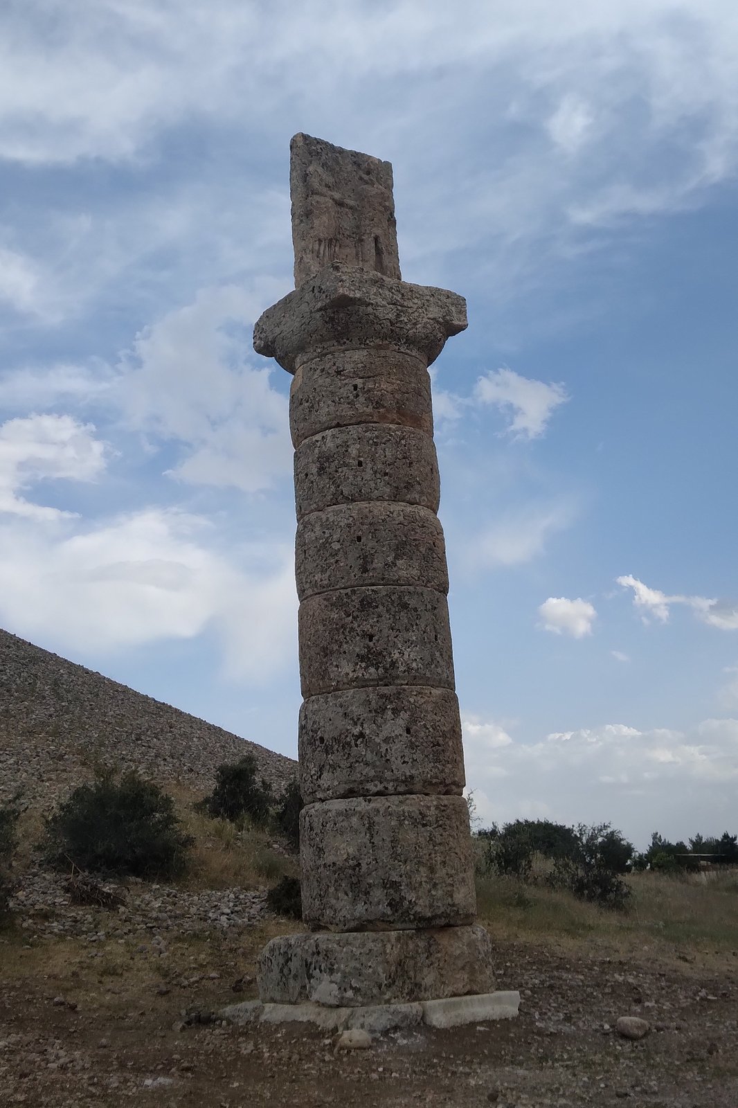 Tokalaşma Sütunu