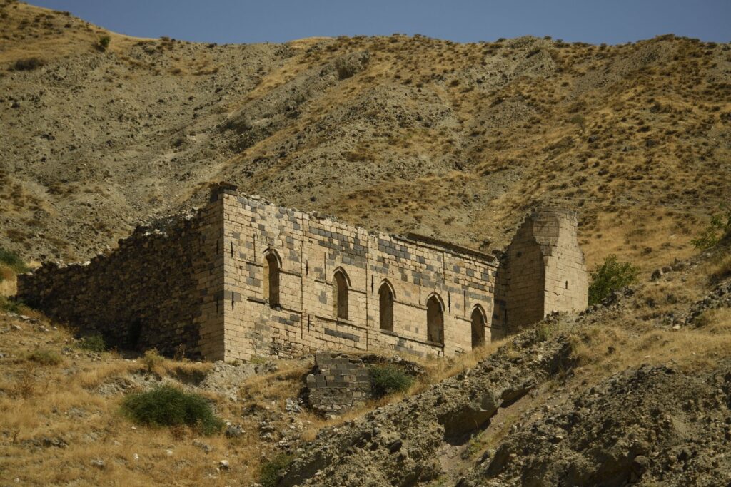 Merkez Camii, Palu