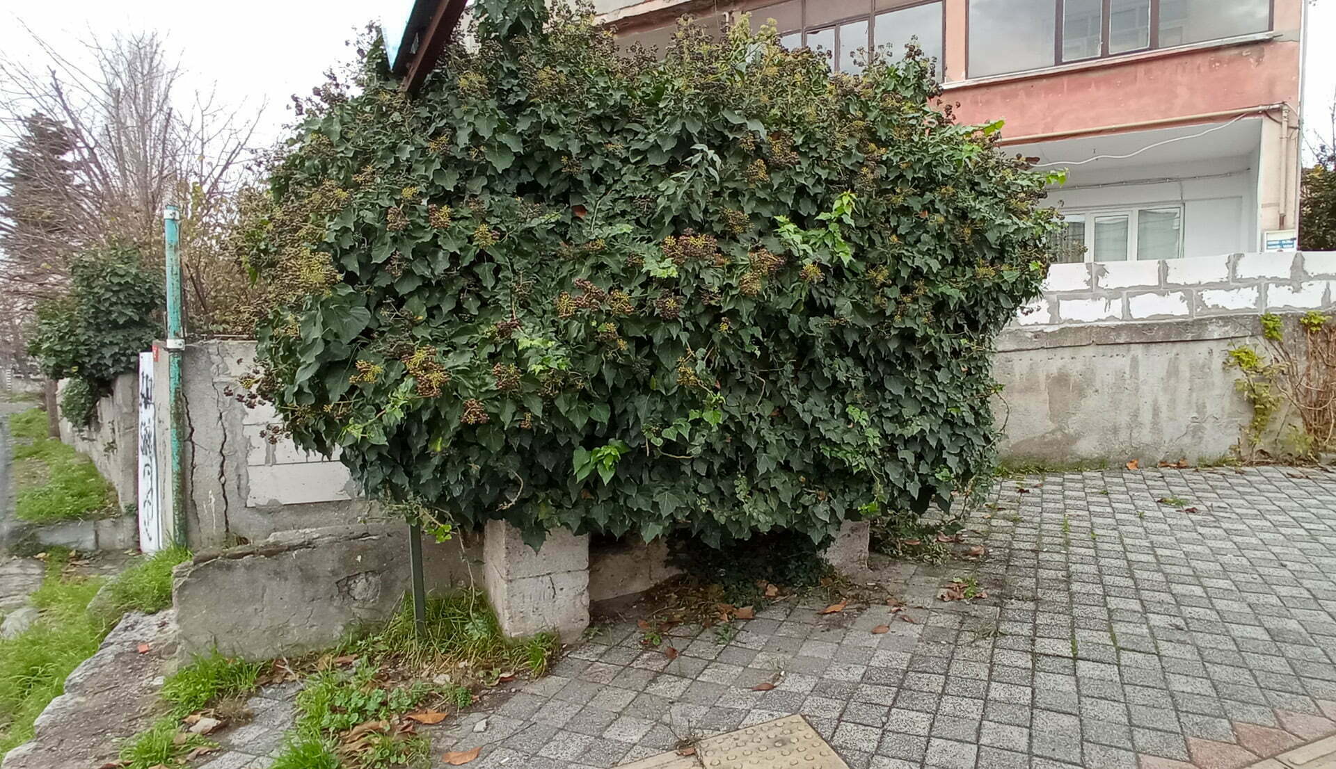 Molla Hüseyin Sokağı Çeşmesi