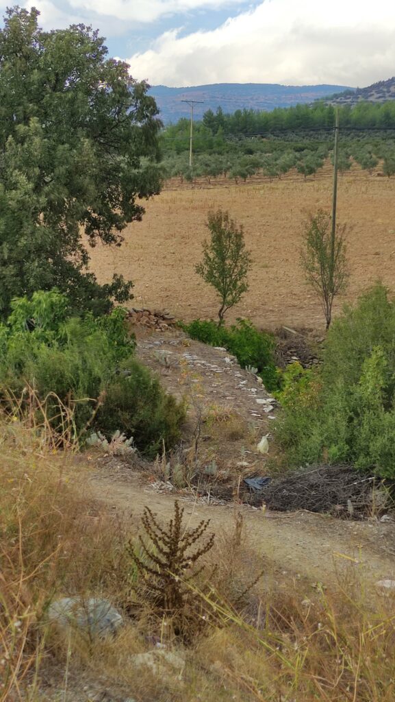 Roma Köprüsü, Seki