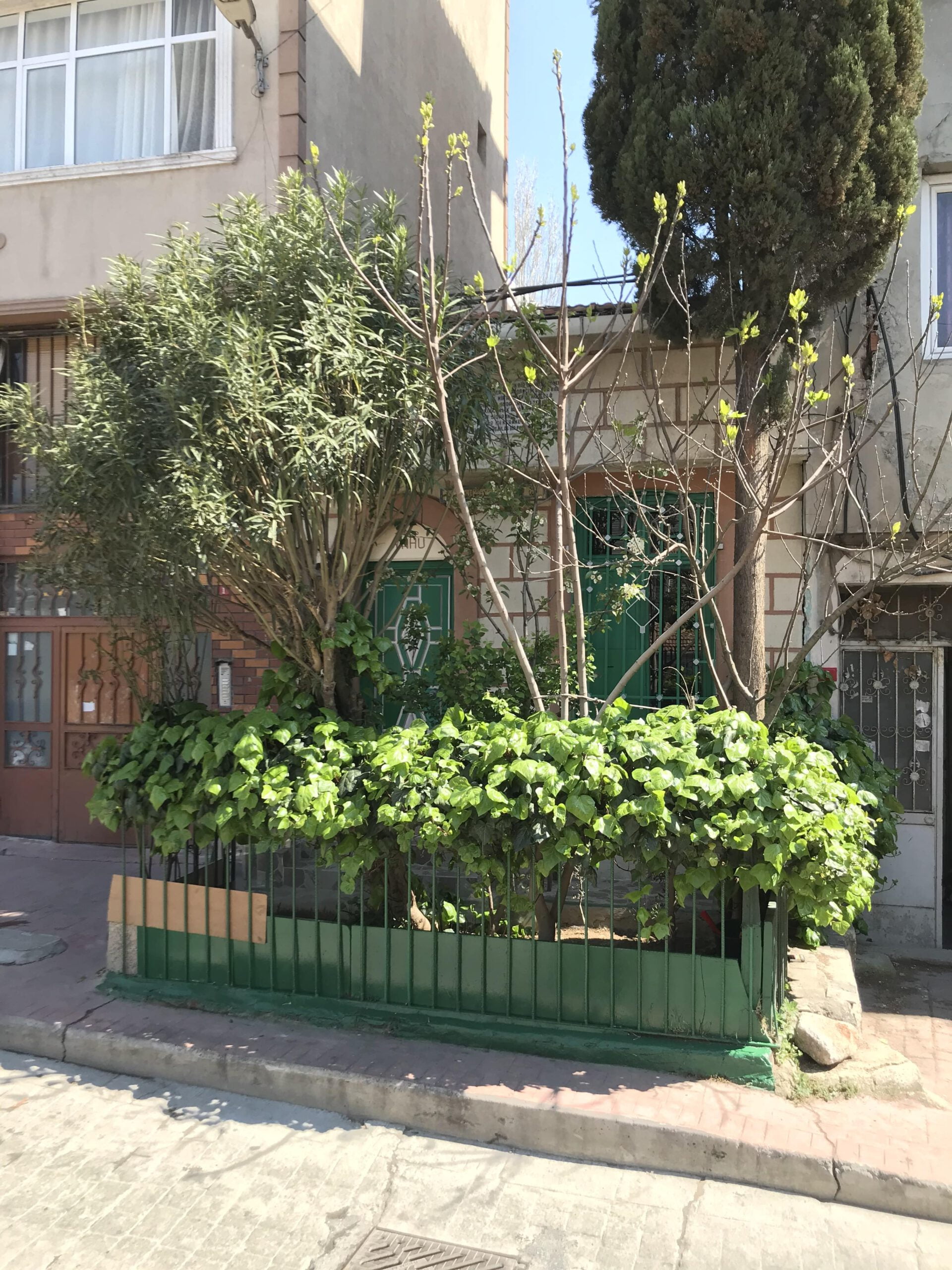 Sefer Baba Türbesi