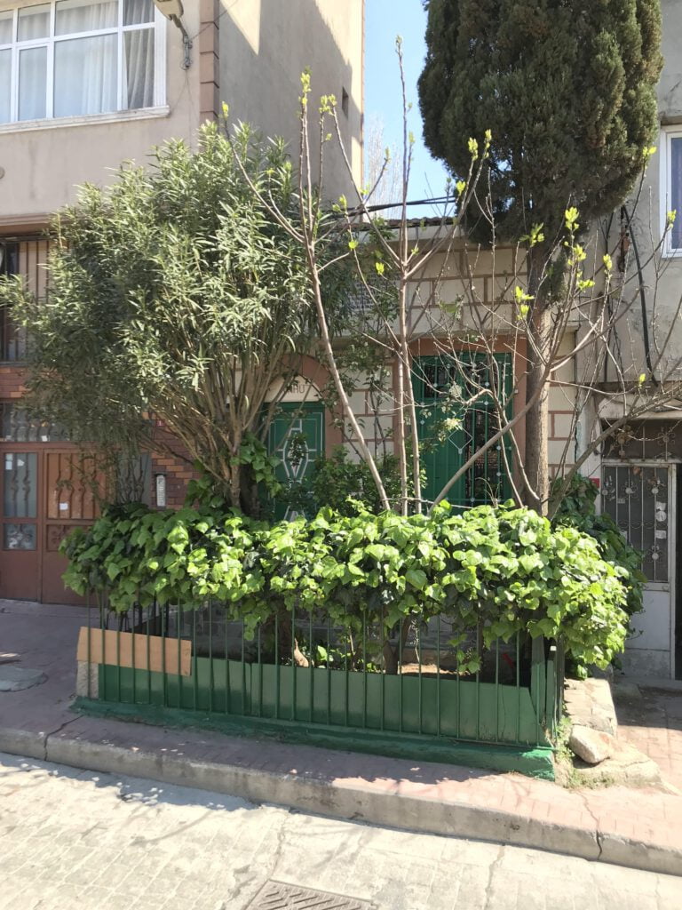 Sefer Baba Türbesi