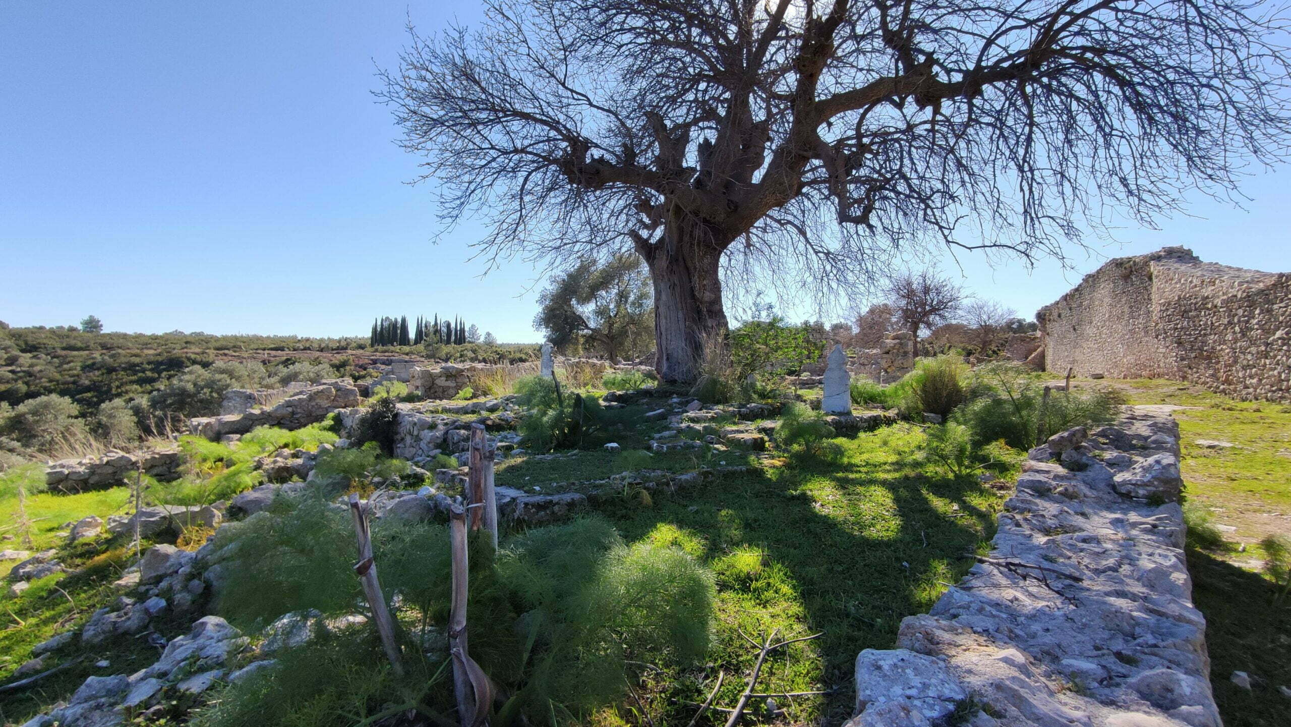Seymenlik Zaviyesi, Beçin