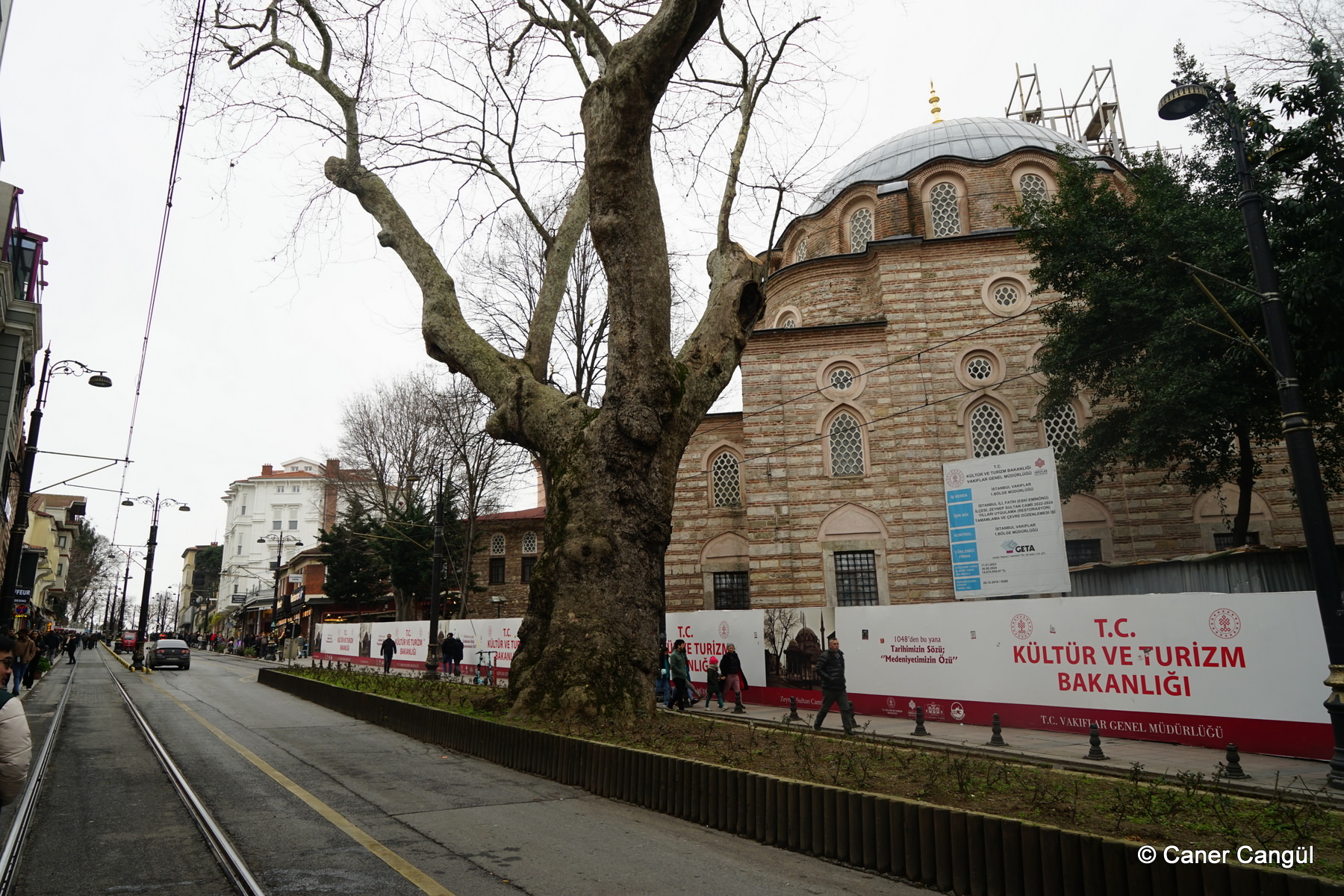 Zeynep Sultan Camii ve Tramvay Yolu Ortasında Kalan Çınar